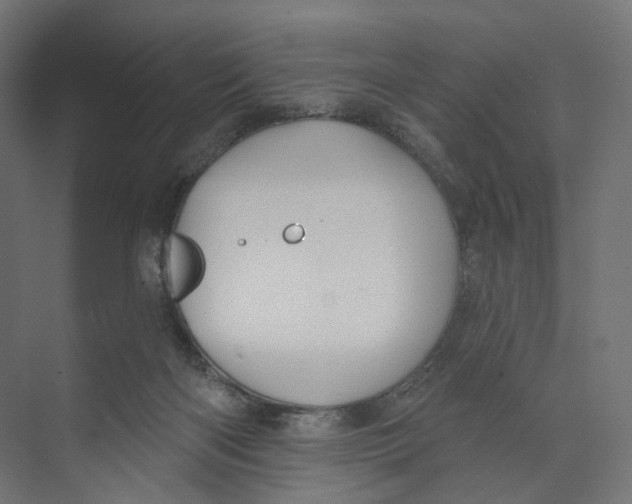 X0000073850122200609071617