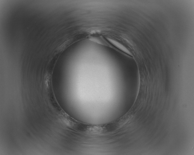 X0000073850125200609071617