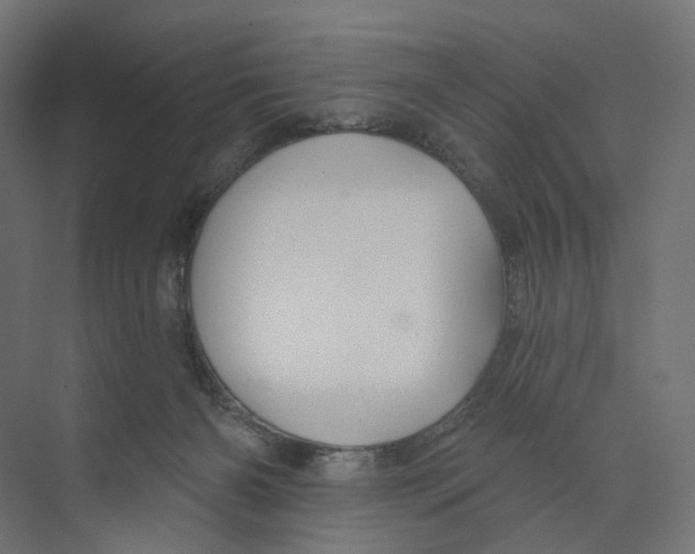 X0000073850126200609071617