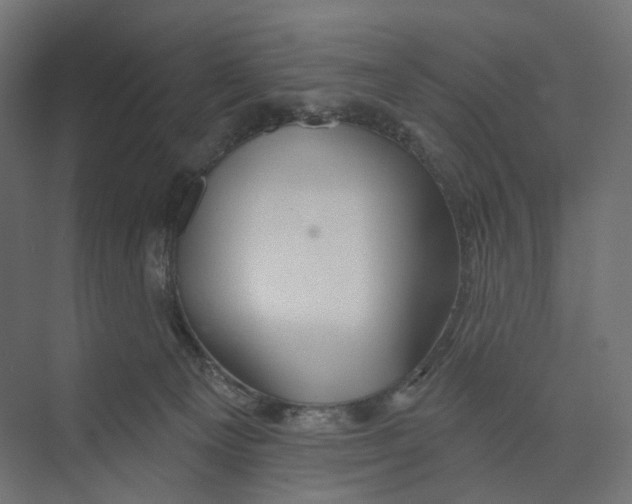 X0000073850129200609071617