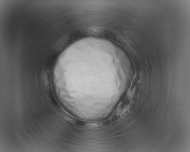 X0000073850131200609071617