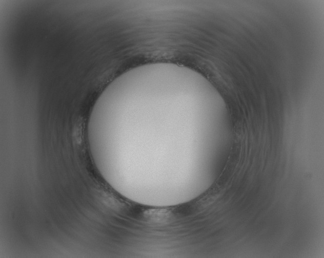 X0000073850133200609071617