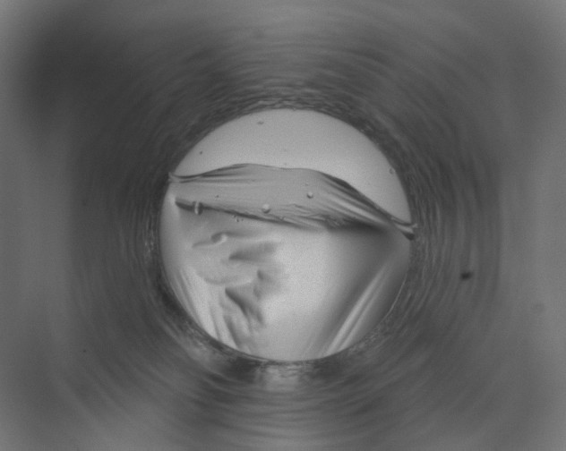 X0000073850134200609071617