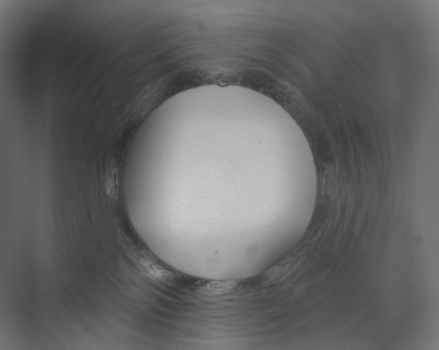 X0000073850138200609071617