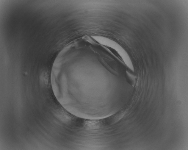 X0000073850139200609071617