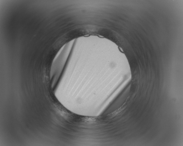 X0000073850140200609071617