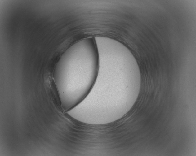 X0000073850141200609071617