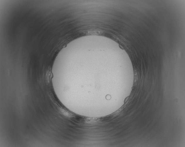 X0000073850142200609071617