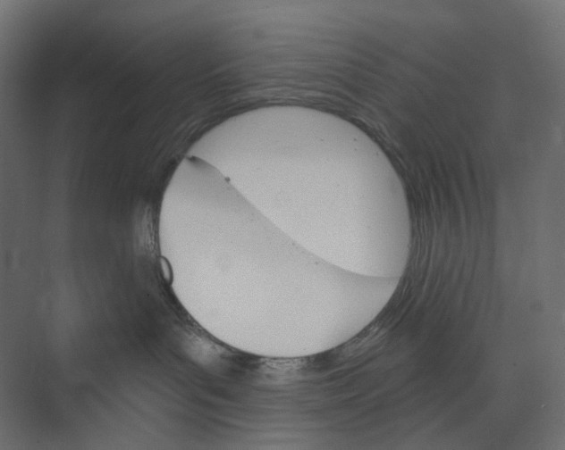 X0000073850143200609071617