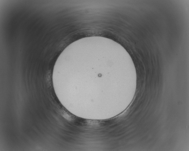 X0000073850144200609071617