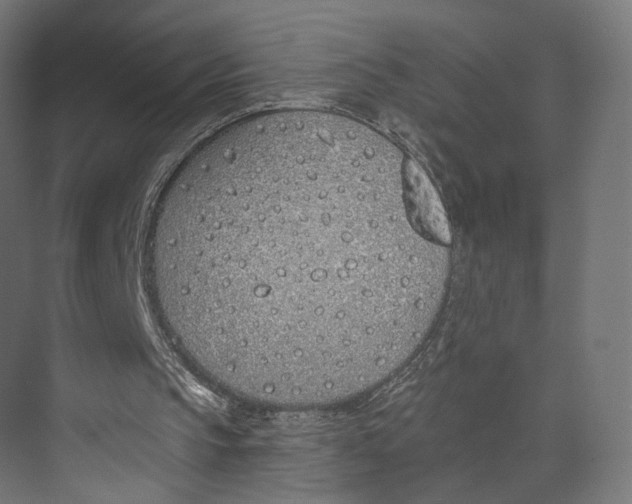 X0000073850145200609071616