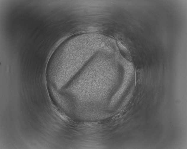 X0000073850147200609071616