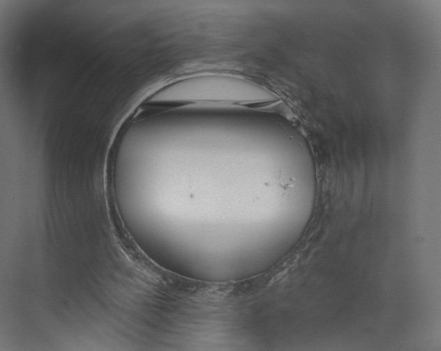 X0000073850148200609071616