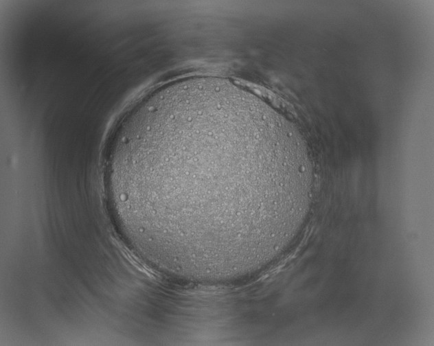 X0000073850149200609071616