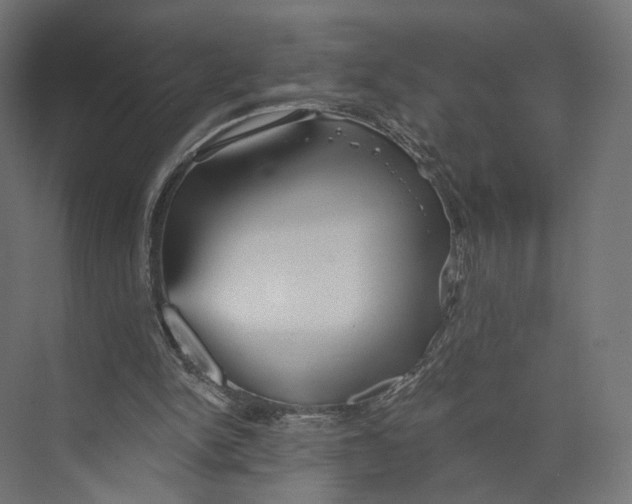 X0000073850150200609071616