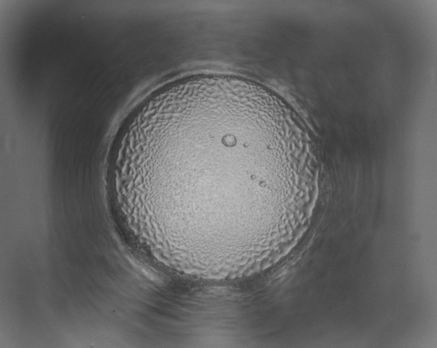 X0000073850151200609071616