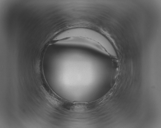 X0000073850154200609071616