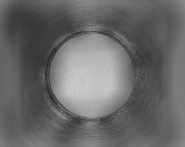 X0000073850155200609071616