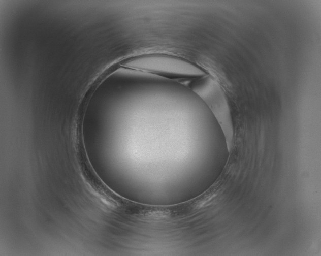 X0000073850156200609071616