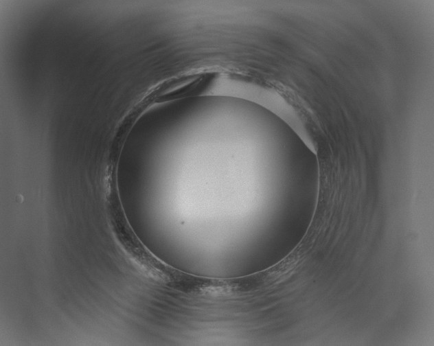 X0000073850160200609071616