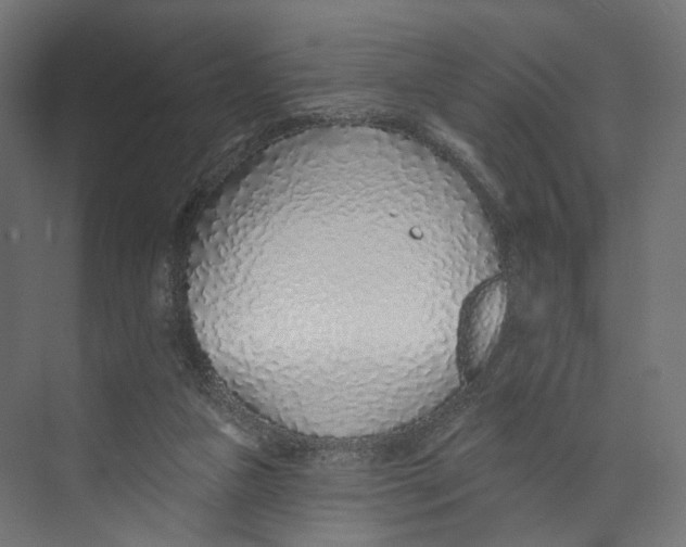 X0000073850161200609071616