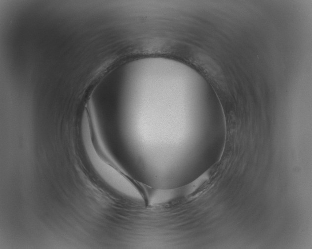 X0000073850164200609071616