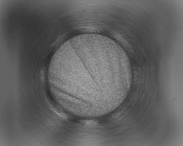 X0000073850165200609071616