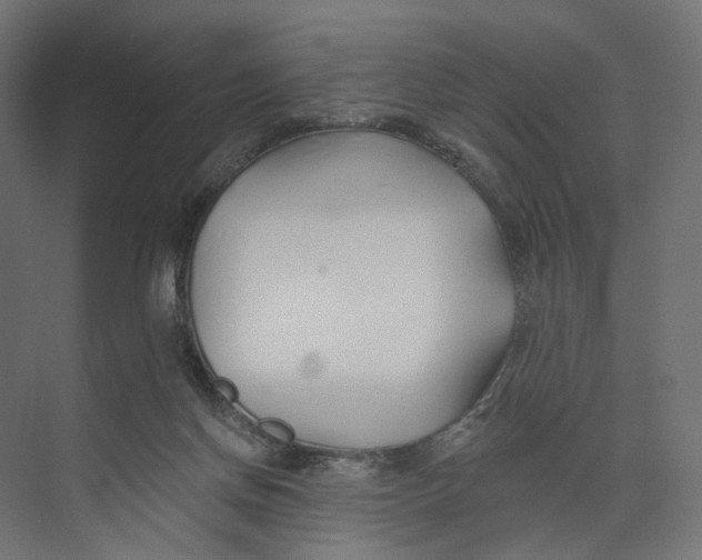 X0000073850166200609071616