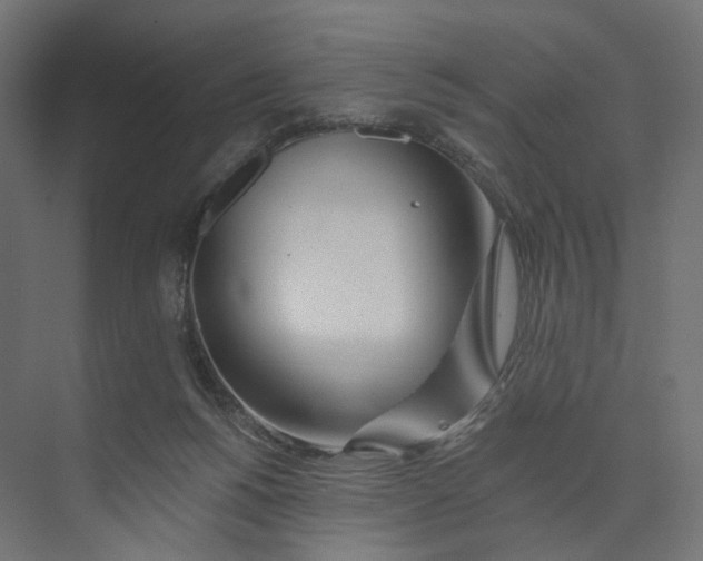 X0000073850168200609071616