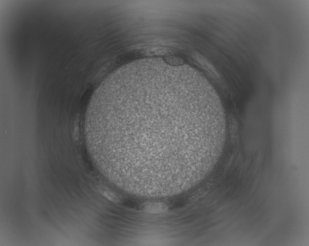 X0000073850169200609071616