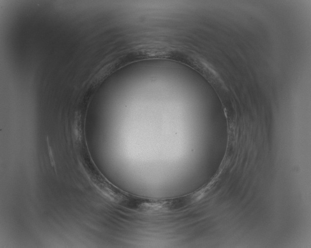 X0000073850170200609071616