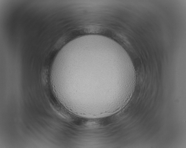 X0000073850171200609071616