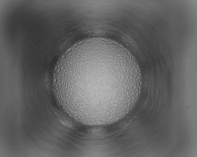 X0000073850173200609071616