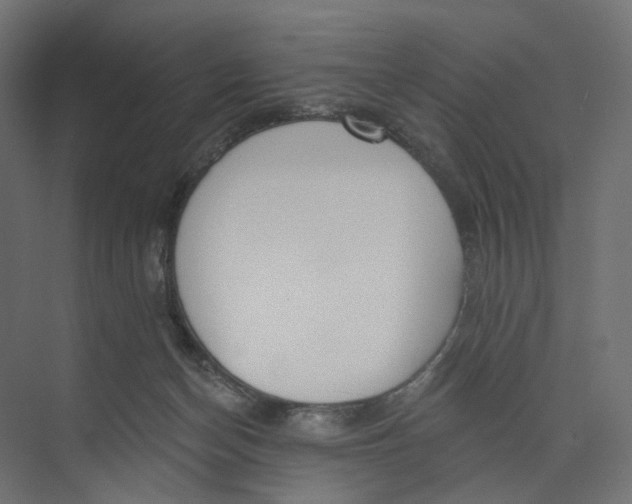 X0000073850174200609071616