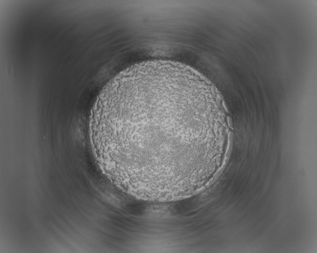 X0000073850175200609071616