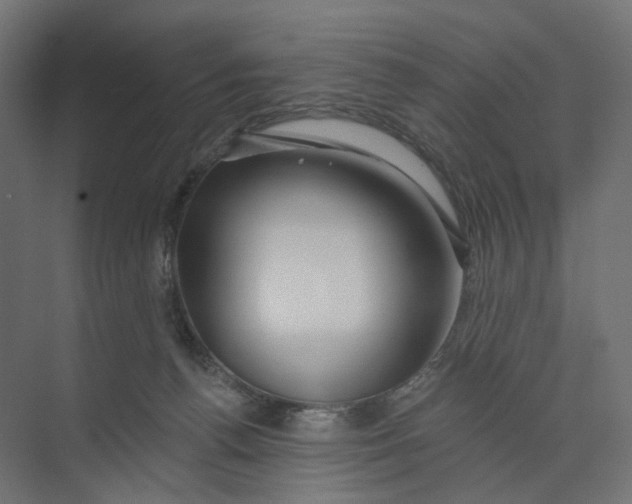 X0000073850176200609071616