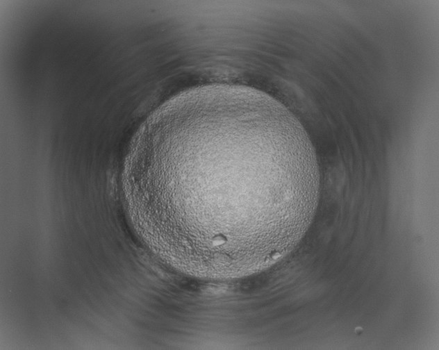 X0000073850177200609071616