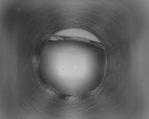 X0000073850180200609071616