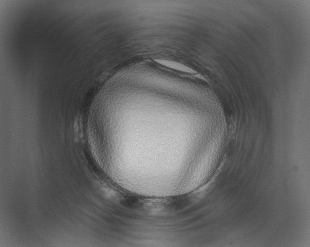 X0000073850182200609071616