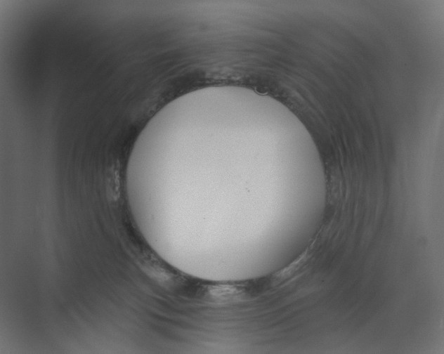 X0000073850183200609071616