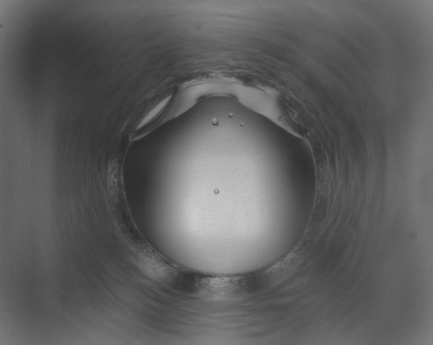 X0000073850184200609071616