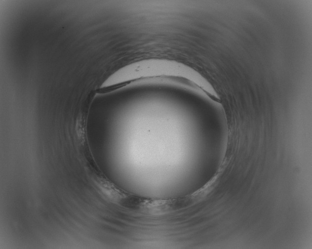 X0000073850186200609071617