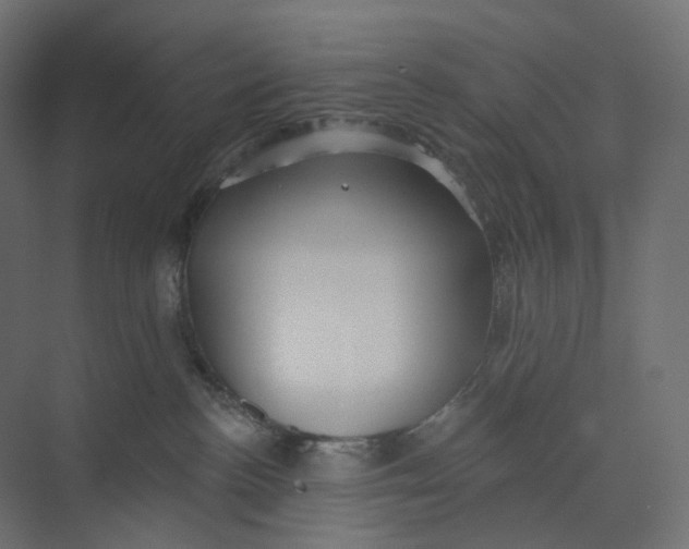 X0000073850188200609071617