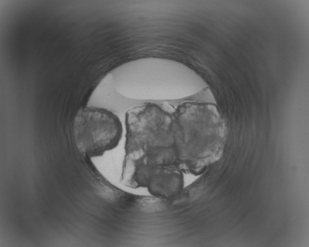 X0000073850189200609071617