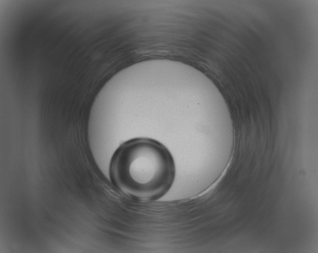 X0000073850190200609071617