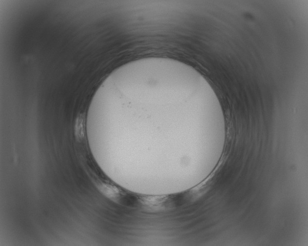 X0000073850191200609071617