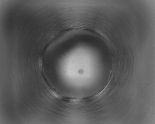 X0000073850192200609071617