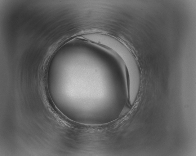 X0000073850193200609071616