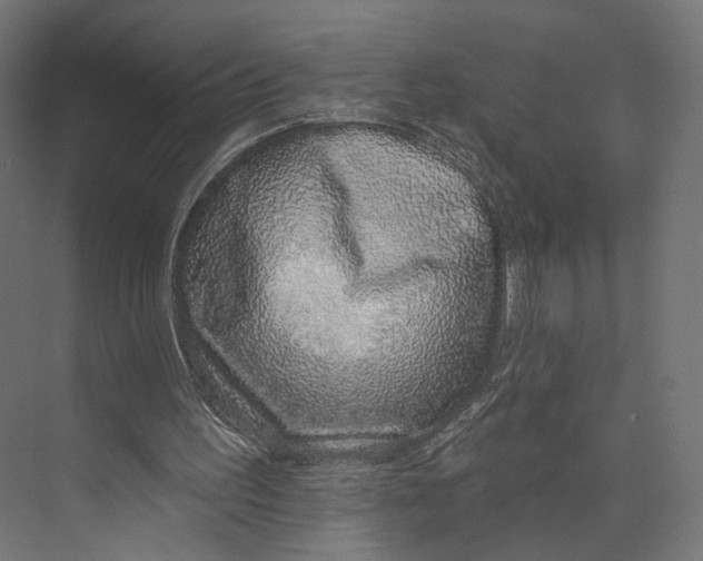 X0000073850195200609071616