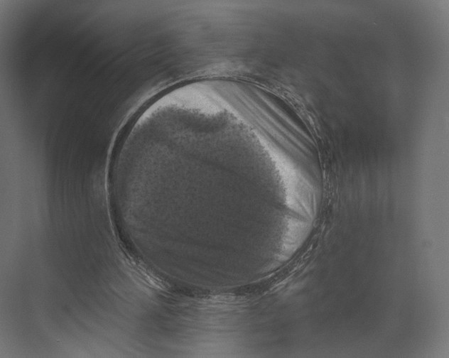 X0000073850196200609071616